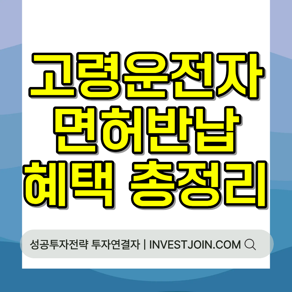 고령 운전자 운전면허 반납 혜택 교통비 지원 총정리 가이드