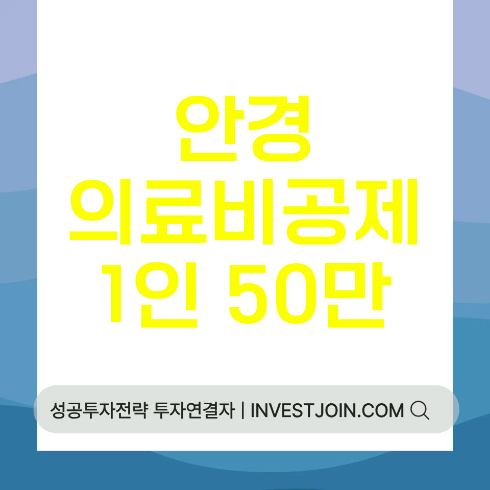 안경 의료비 공제
