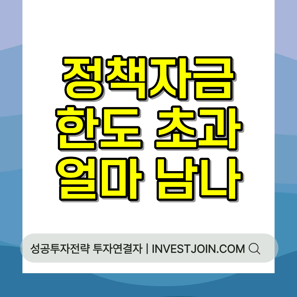 정책자금 한도 초과 통합한도 계산