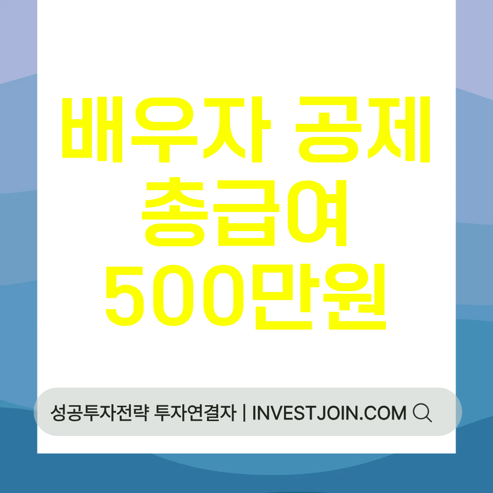 배우자 기본공제 소득