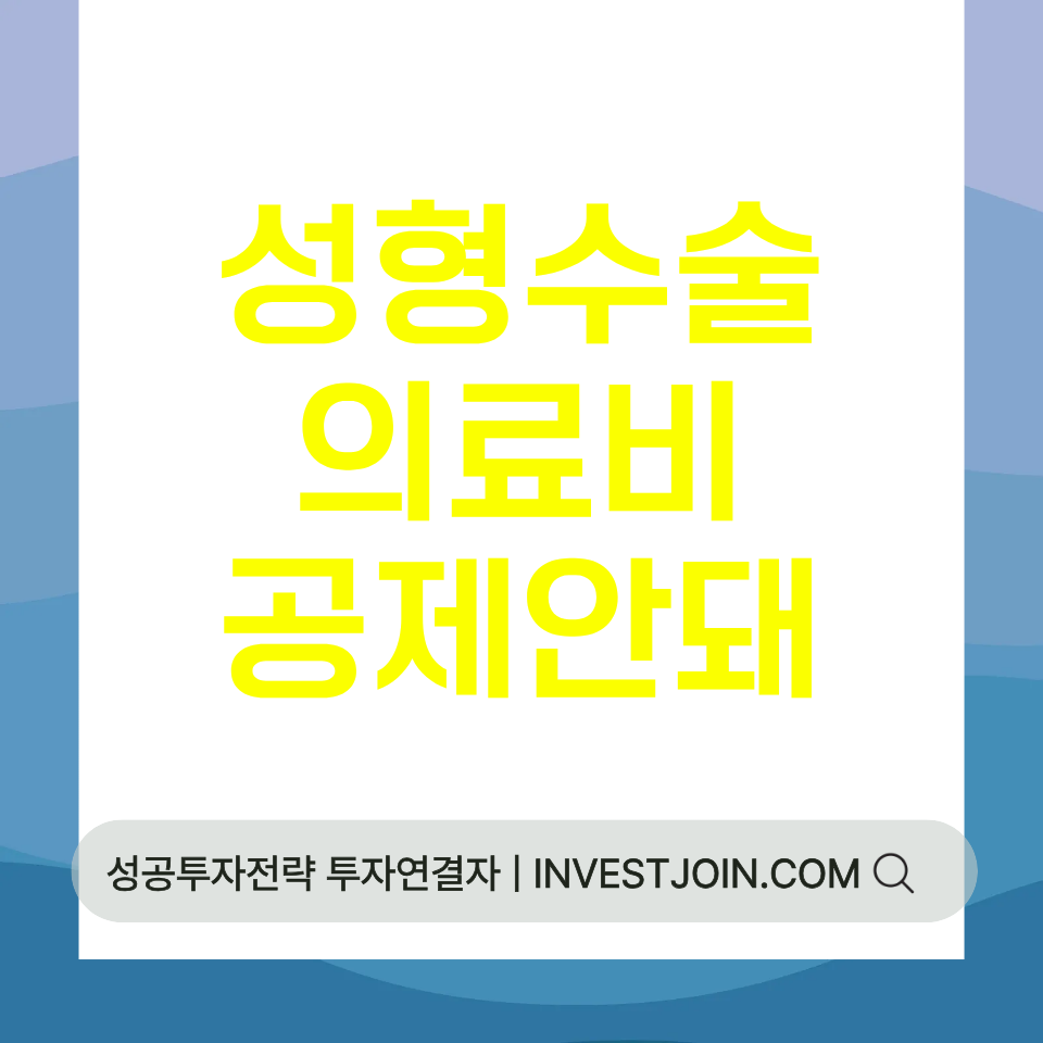 성형수술 의료비 공제