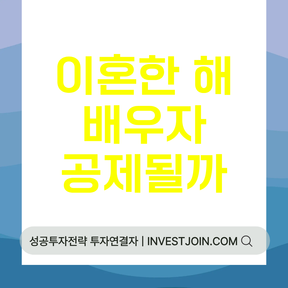 이혼한 해 배우자 공제